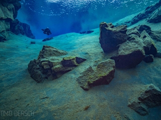 Timo dersch journalist diver writer underwater photographer