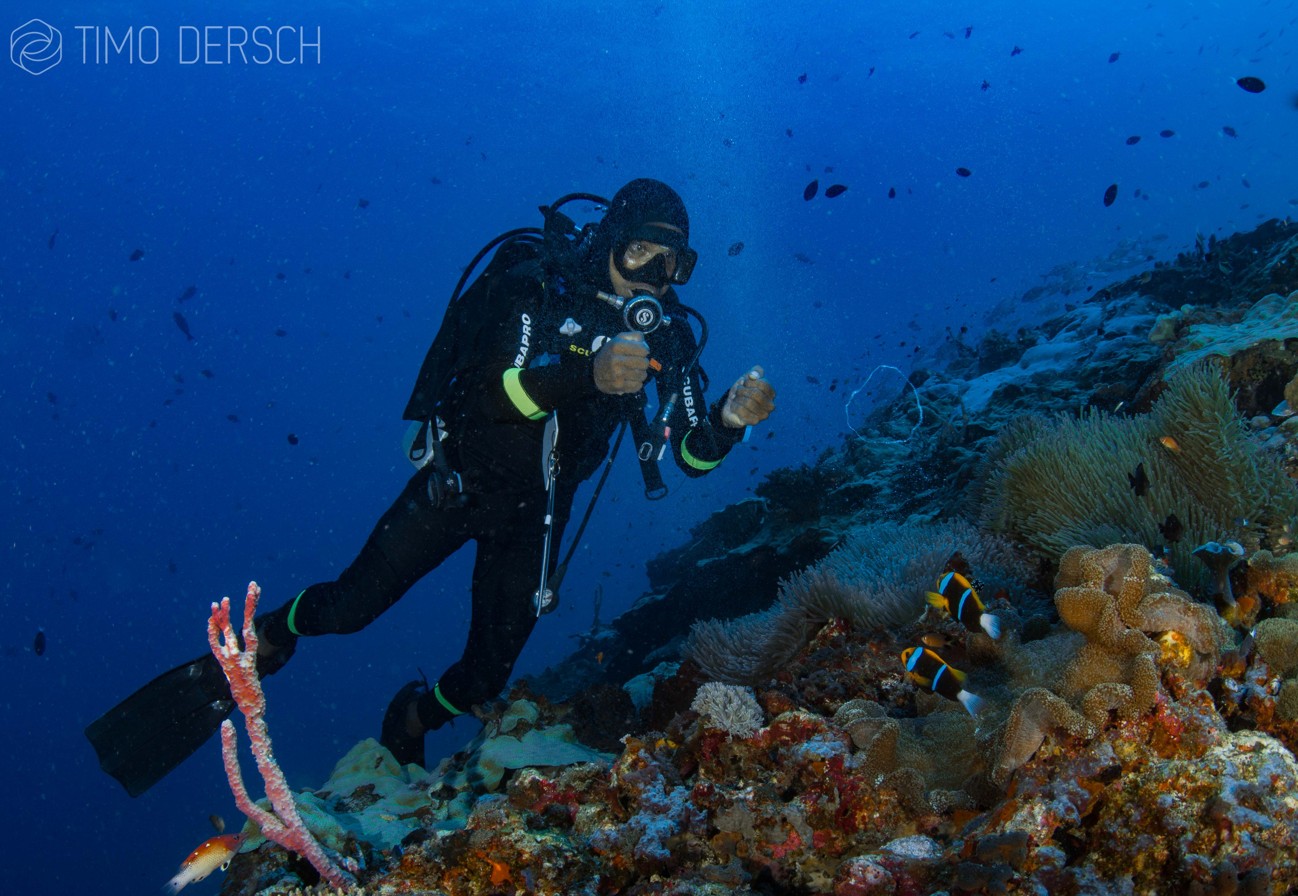 Timo dersch journalist diver writer underwater photgrapher